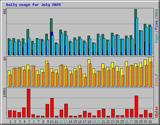Daily usage for July 2025