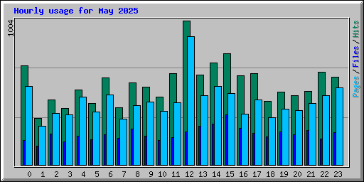 Hourly usage for May 2025