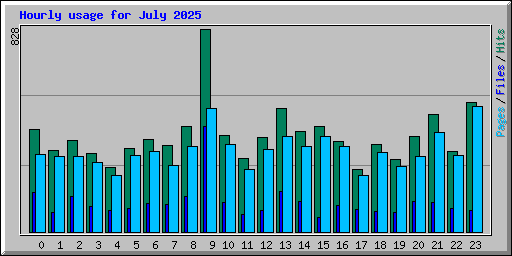 Hourly usage for July 2025