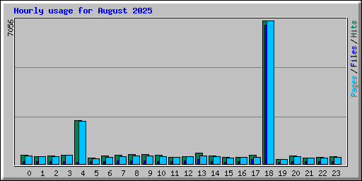 Hourly usage for August 2025