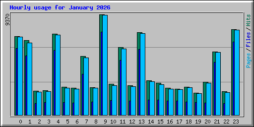 Hourly usage for January 2026